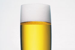 生ビール